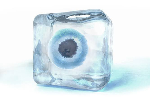 Crescenta Fertility Fertility Preservation 