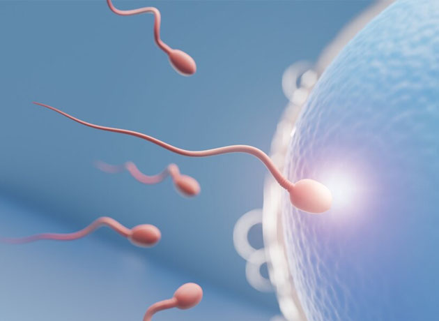 Crescenta Fertility